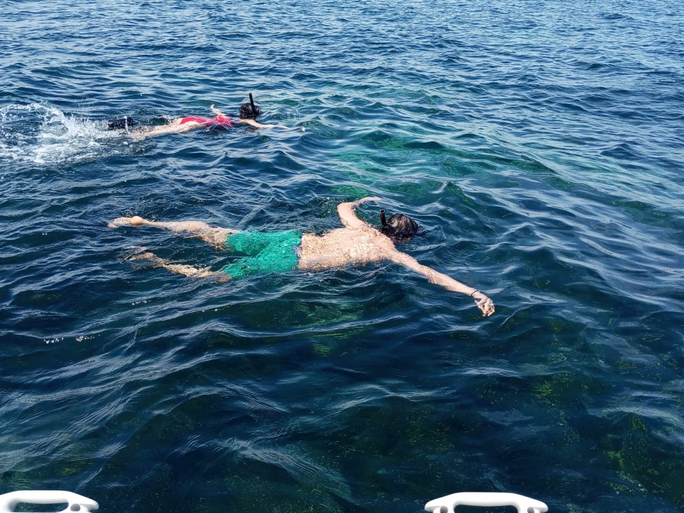 Snorkel