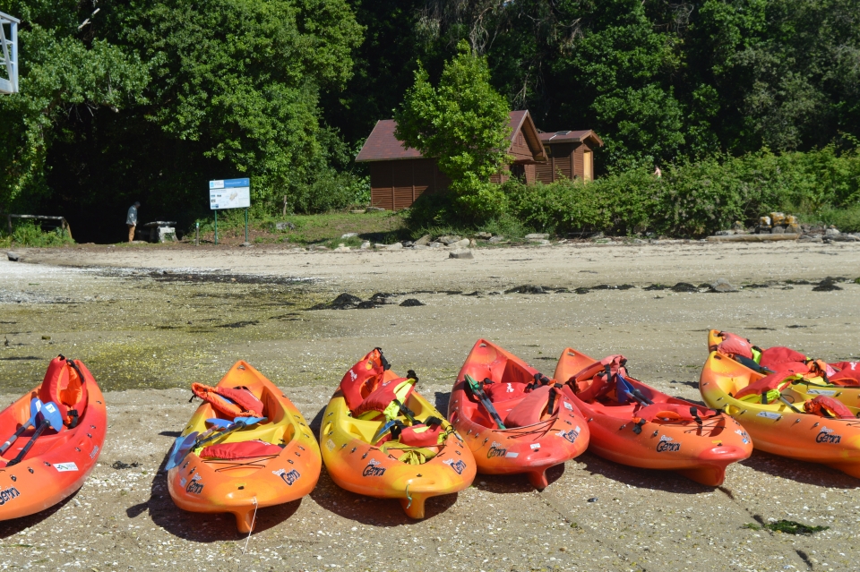 Kayaks en Cortegada Kayaks en Cortegada