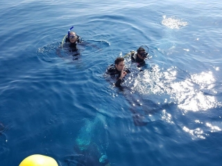 Pack 4 inmersiones en Canet con equipo y 1 gratis