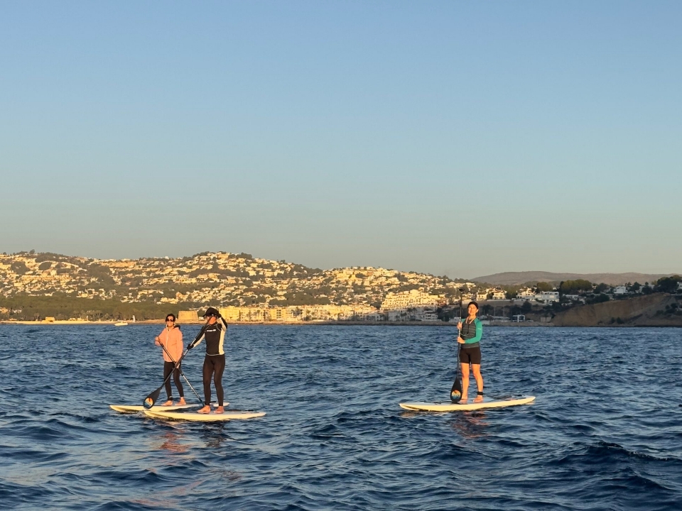 Renta de equipo de paddle board Renta de equipo de paddle board