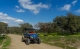 Buggies Badajoz