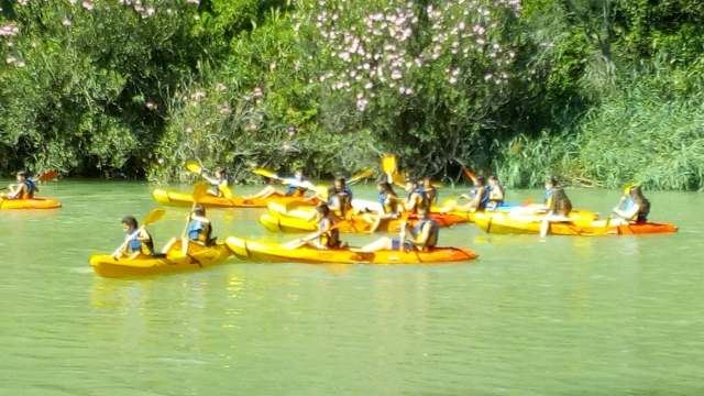 Excursión en kayak río Cabriel