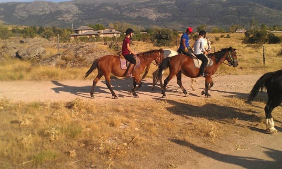 salida al campo salida al campo
