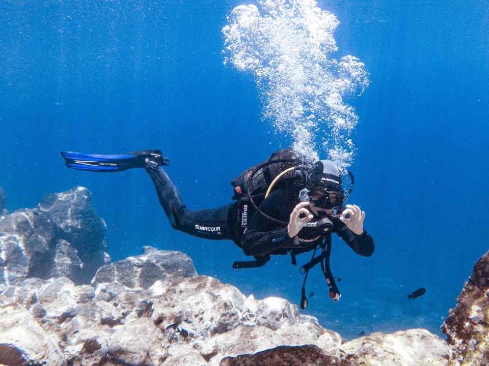 Buceo en Tenerife Buceo en Tenerife