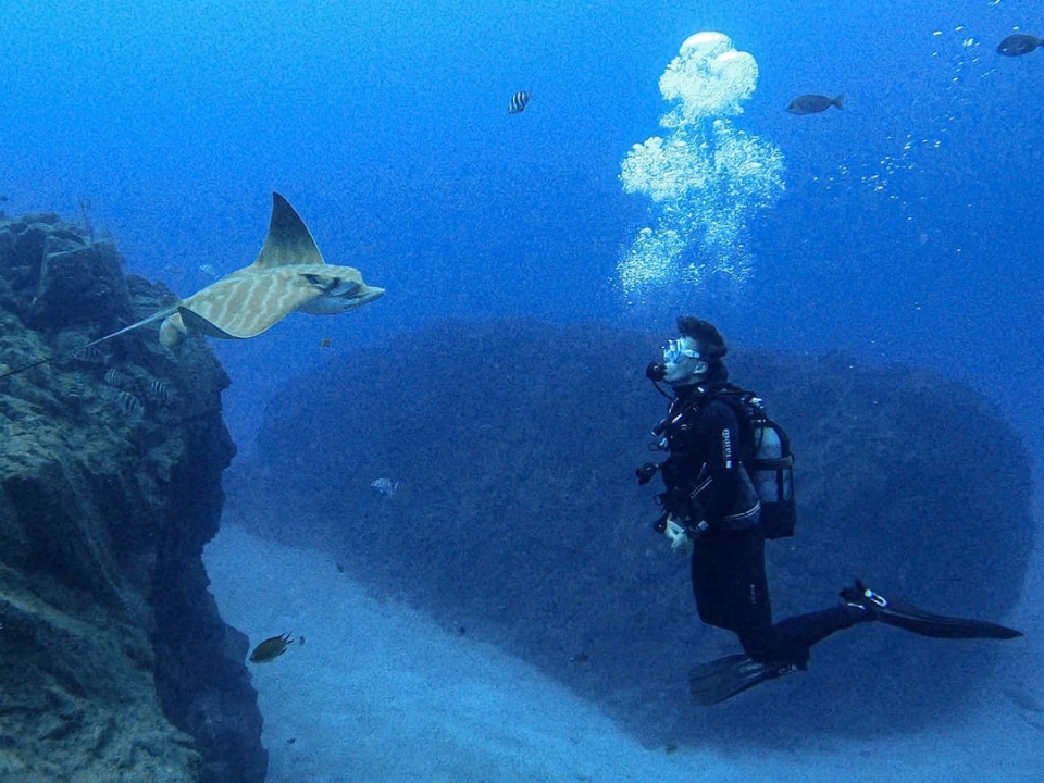 Inmersiones de buceo Inmersiones de buceo