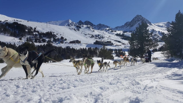 Ruta mushing en Grandvalira