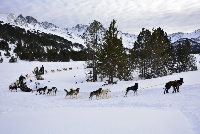 Ruta en mushing doble en Grandvalira. 3 Km