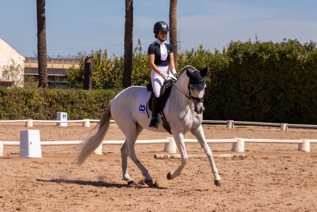 Clases de equitación en Murcia