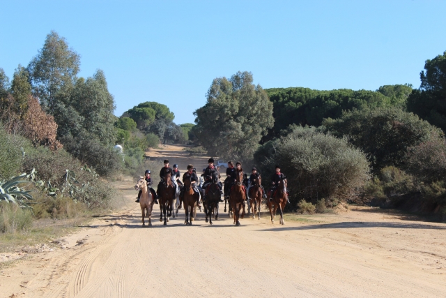 Todos a caballo