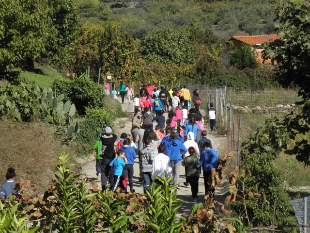 De excursión por la naturaleza