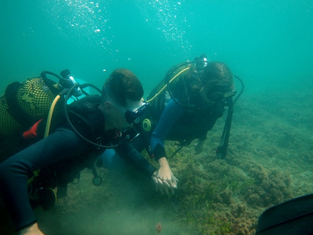 Buceo en Alicante