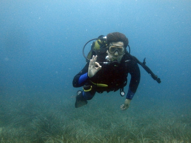 Consiguiendo el certificado PADI