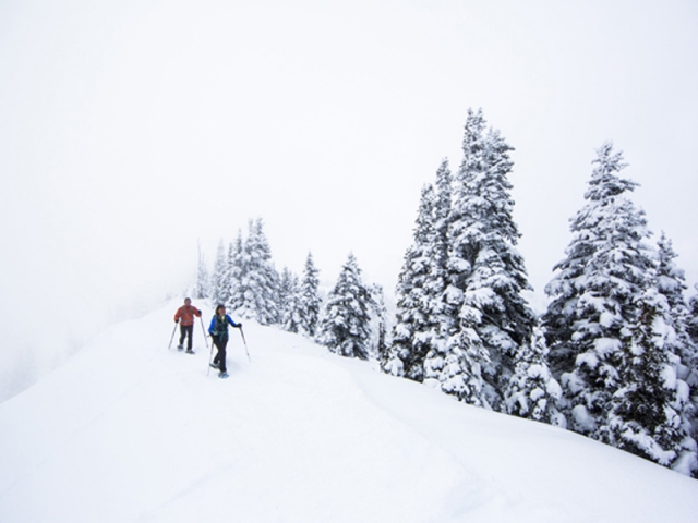 Salida con raquetas de nieve