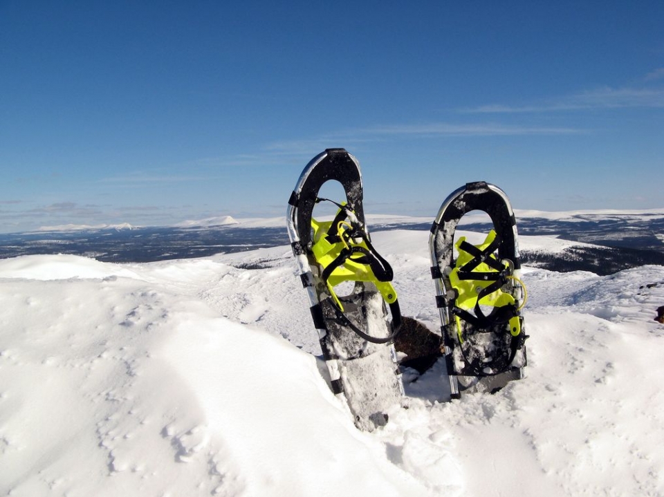 Raquetas clavadas en la nieve Raquetas clavadas en la nieve