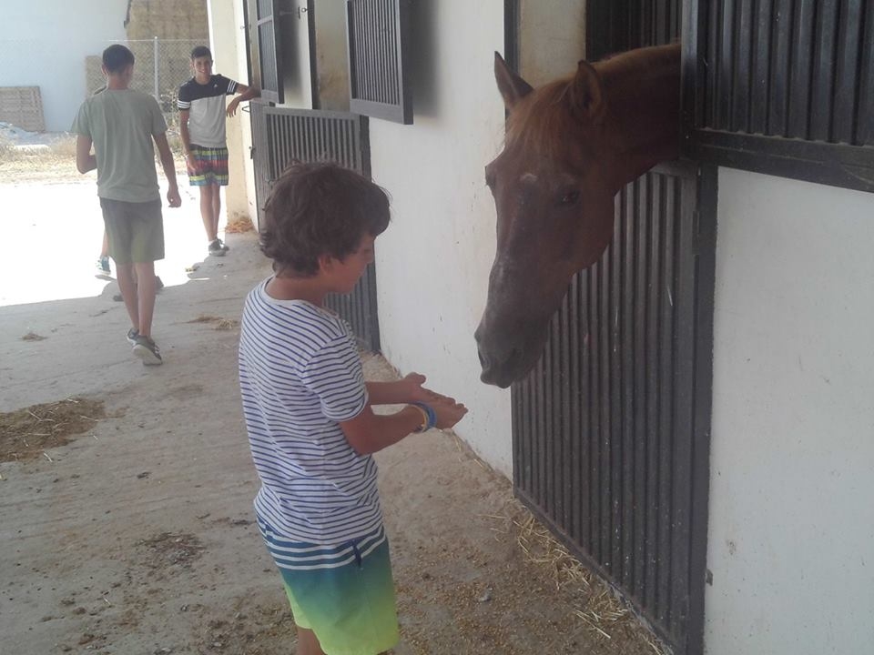Con los caballos