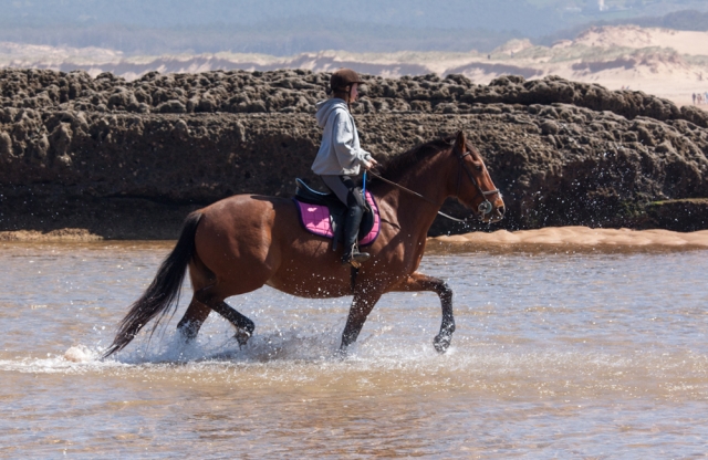 Experiencia ecuestre en Liencres