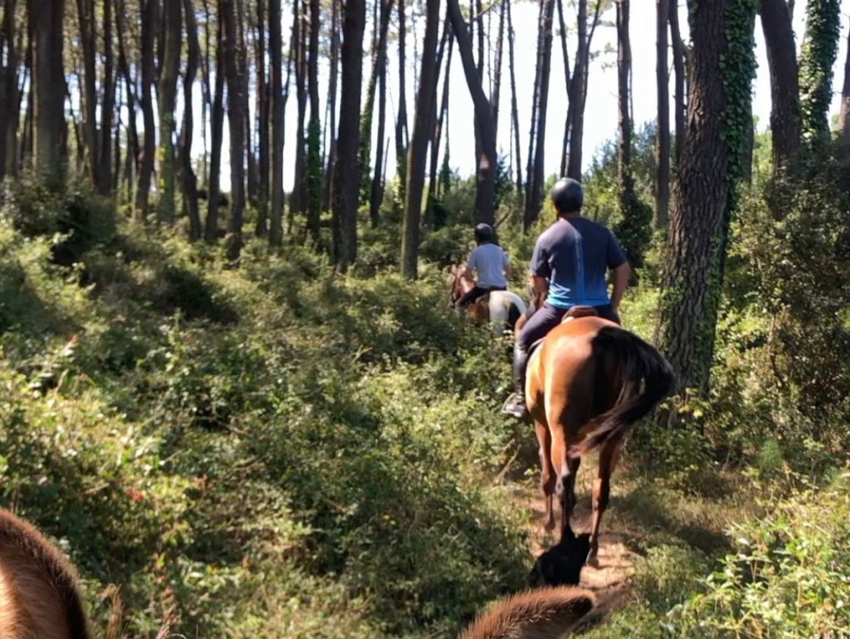 Excursión a caballo en Liencres