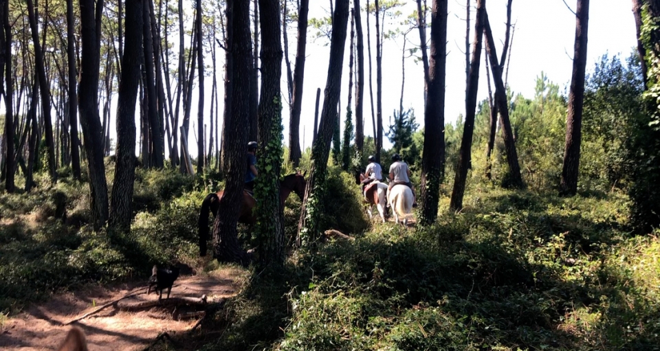 Sube a caballo por el Parque Natural de Liencres