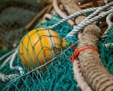 Media jornada de pesca de altura en Suances