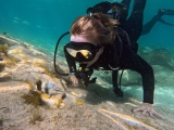 Curso Open Water Diver SSI en Morro Jable