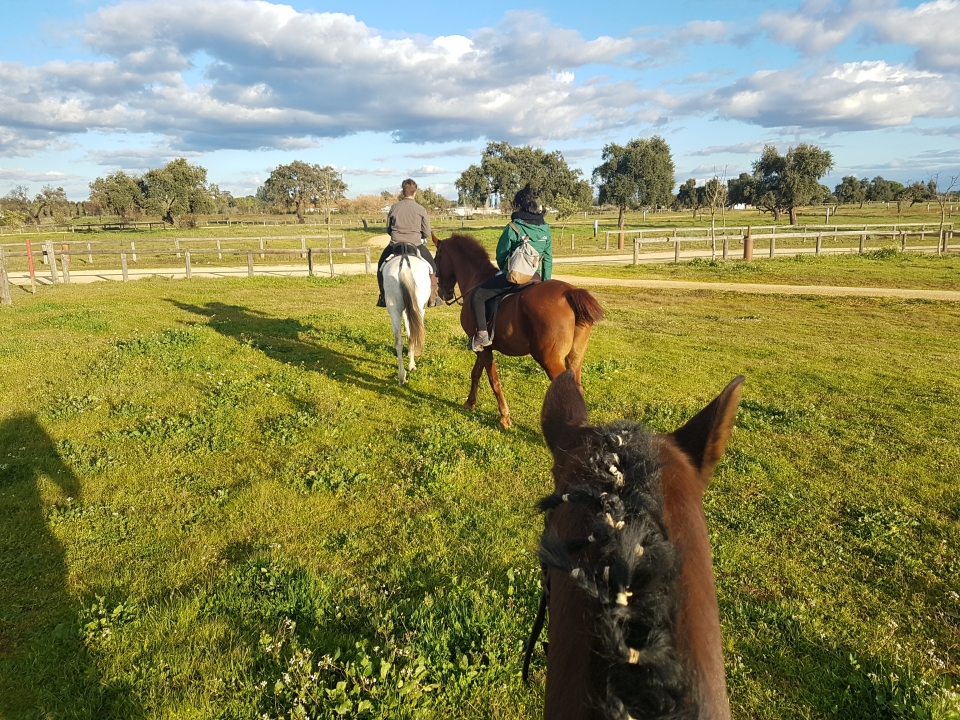90 minutos a caballo 90 minutos a caballo