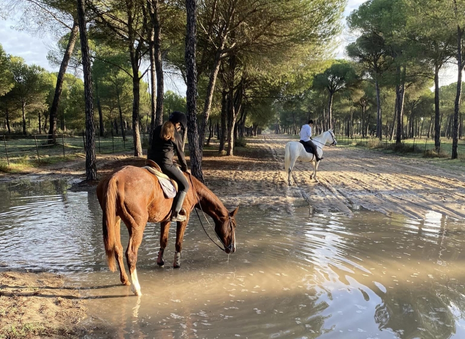Sube a lomos del caballo Sube a lomos del caballo