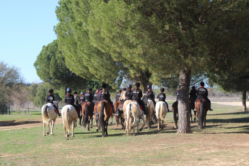 En cabalgamarra En cabalgamarra