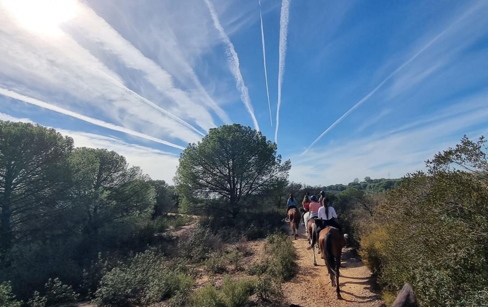 Excursiones a caballo Excursiones a caballo