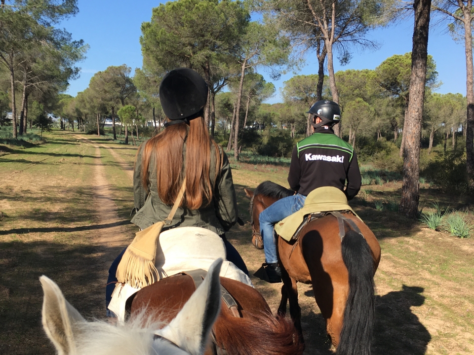 Paseo a caballo en Sevilla Paseo a caballo en Sevilla