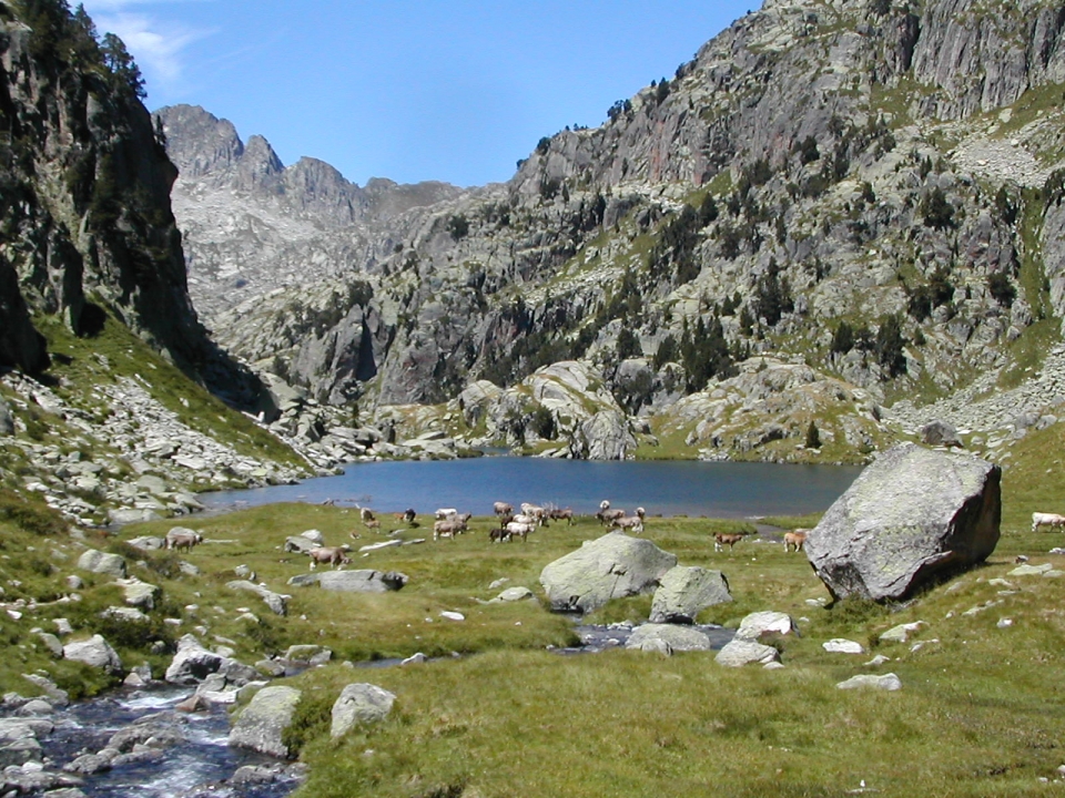 Parque Nacional de San Mauricio
