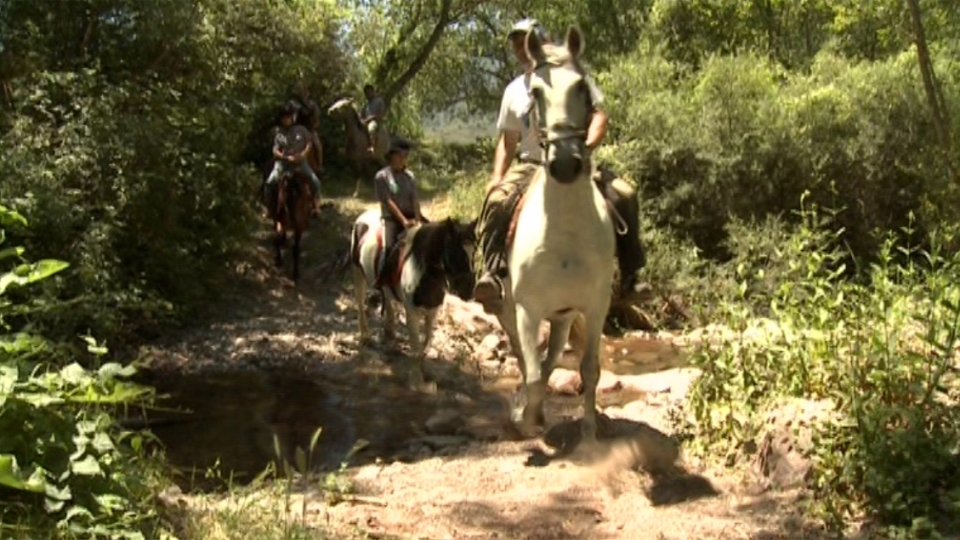Paseo a caballo 
