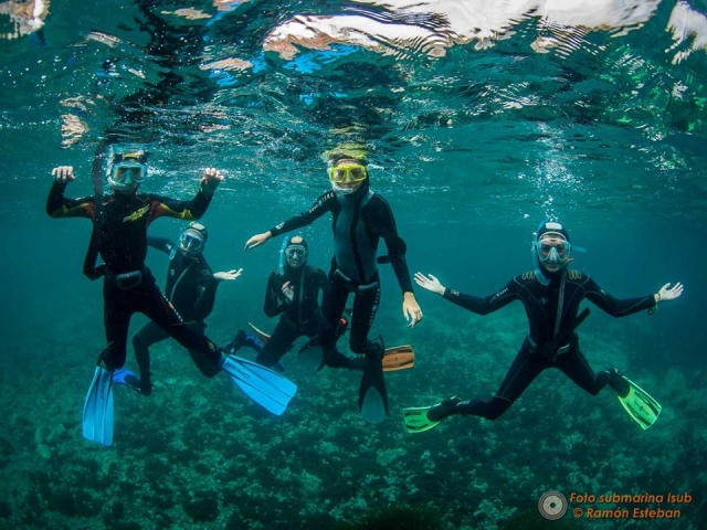 Grupo de snorkel