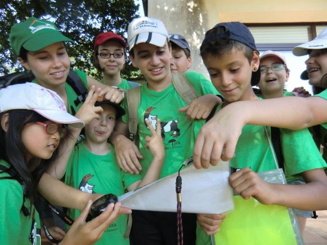 Actividades de orientacion