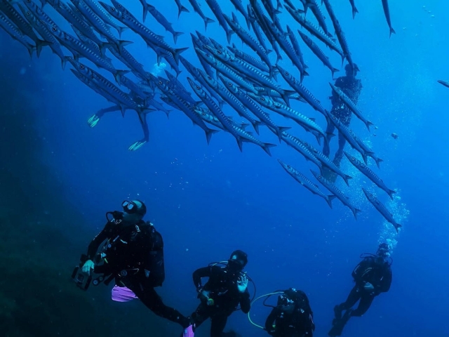 Bautismo de buceo 6 metros puerto Cabo de Palos 3h