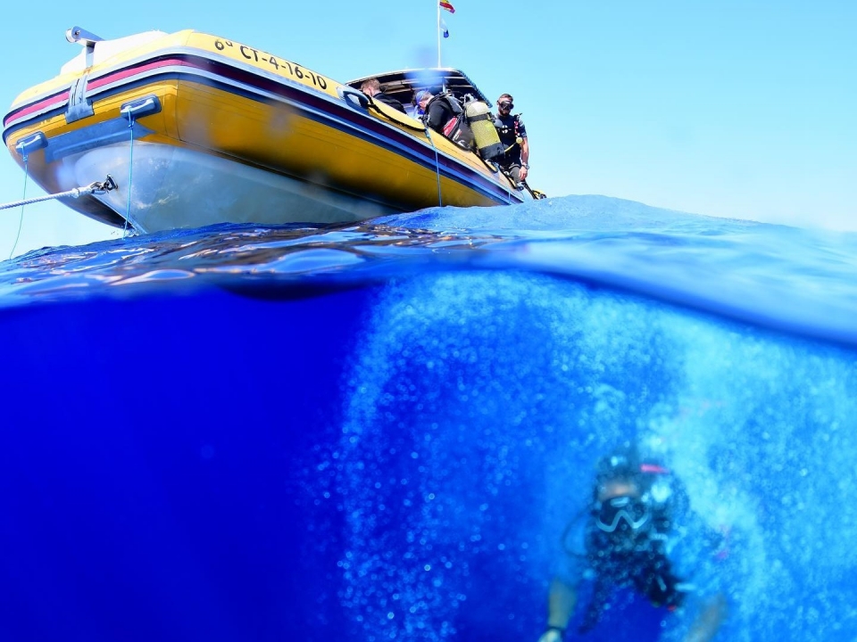 Conoce el fondo marino de Cabo de Palos Conoce el fondo marino de Cabo de Palos