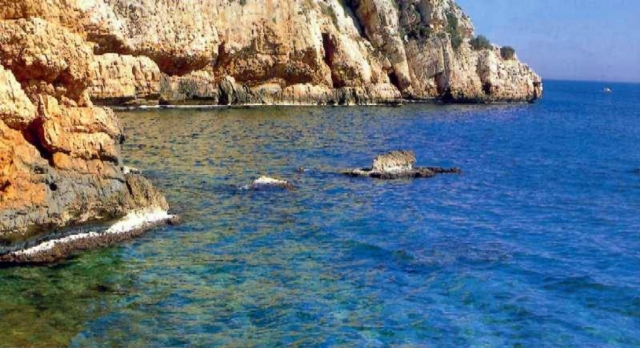 Cala