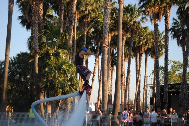 flyboard junto a las palmeras