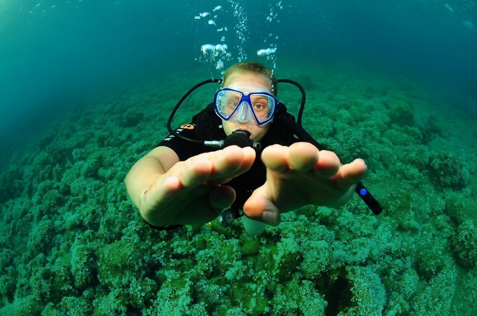 Explora la zona de buceo en cala sant antoni