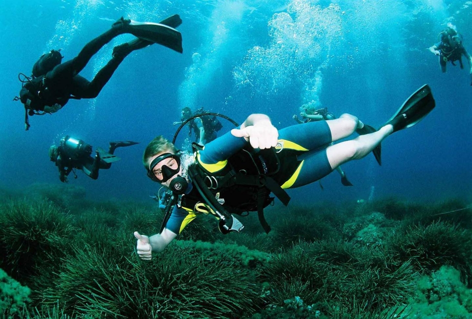 Explora el fondo submarino