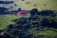 Parapente Cala Pi