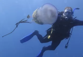 PADI Scuba Diver en Torrox