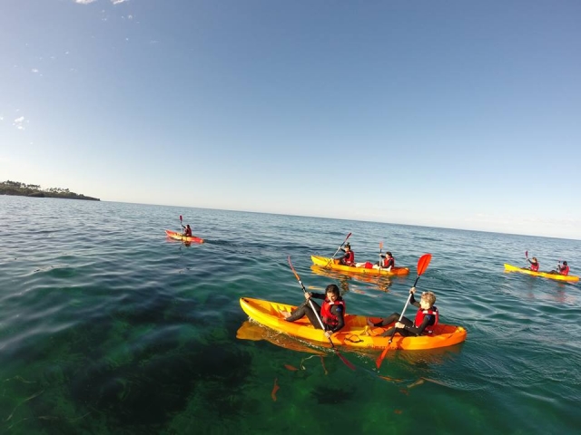 renta kayak
