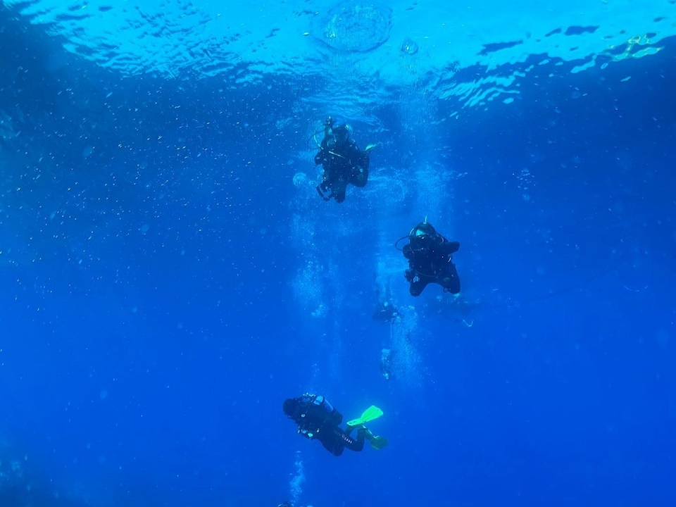 Explora el fondo marino en Murcia Explora el fondo marino en Murcia