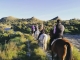 Cabalgatas Murcia