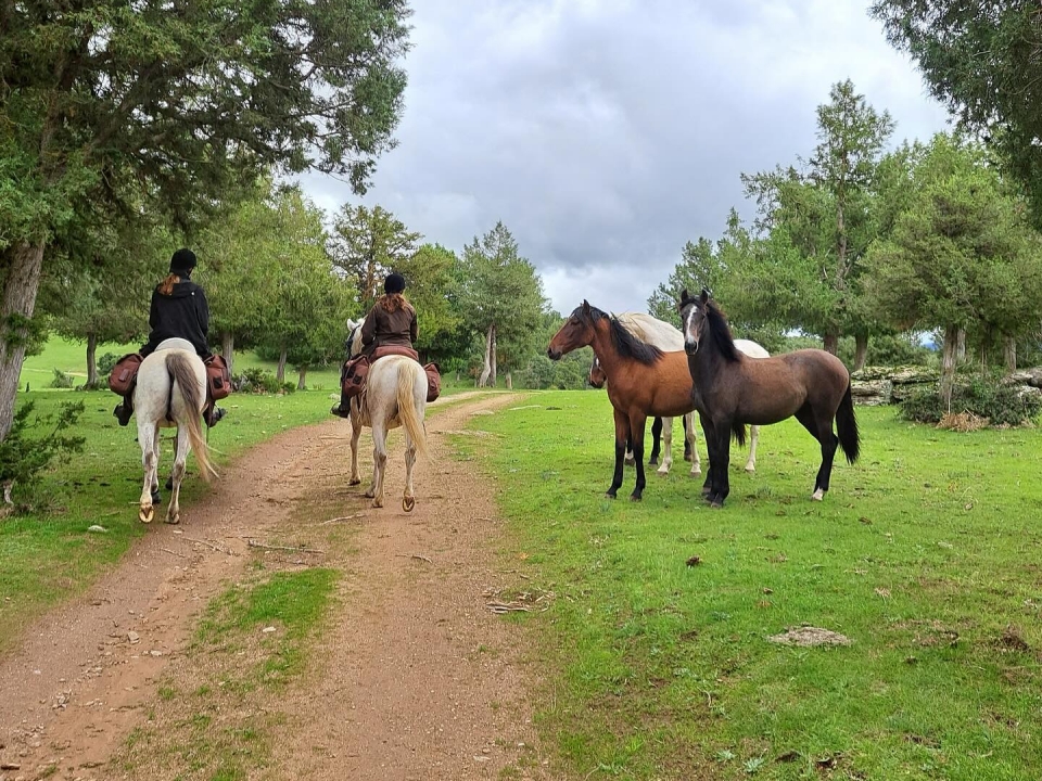 Cabalgamarra por Arcones