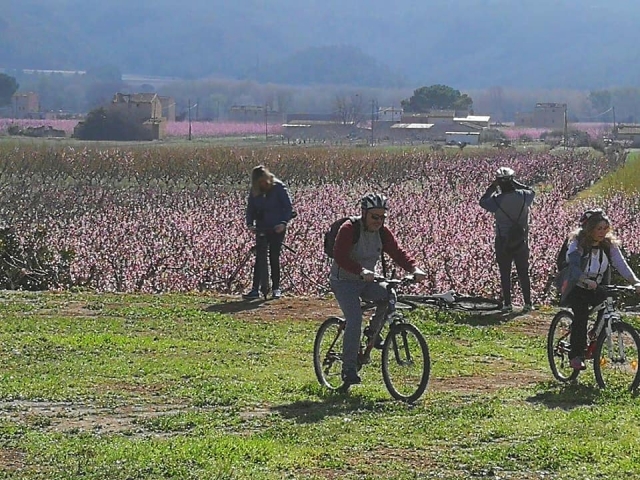 Ruta en bicicleta vía verde y ruta en kayak