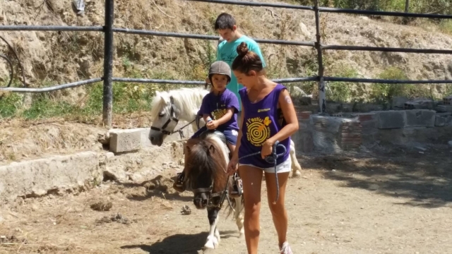Subiendo en un pony