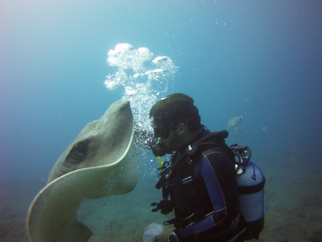 Buceador y manta