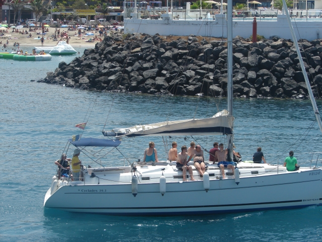 excursion ballenas-delfines