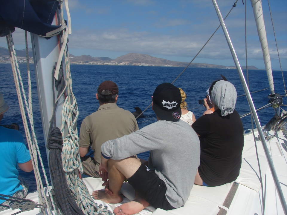 excursion velero de lujo